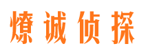 雁山市私家侦探